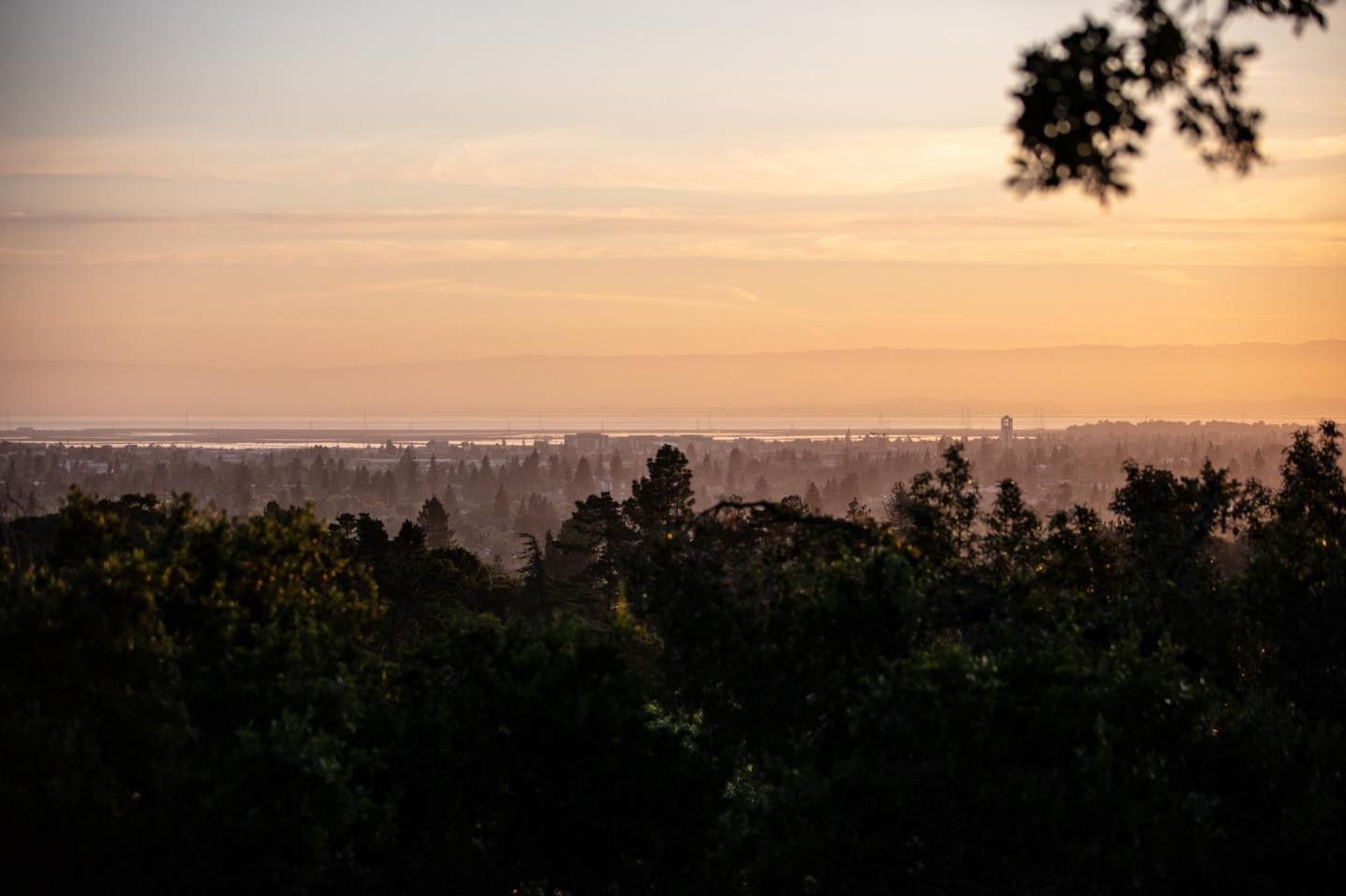 250 Hardwick Road Woodside, CA 94062 - Photo 59 of 65