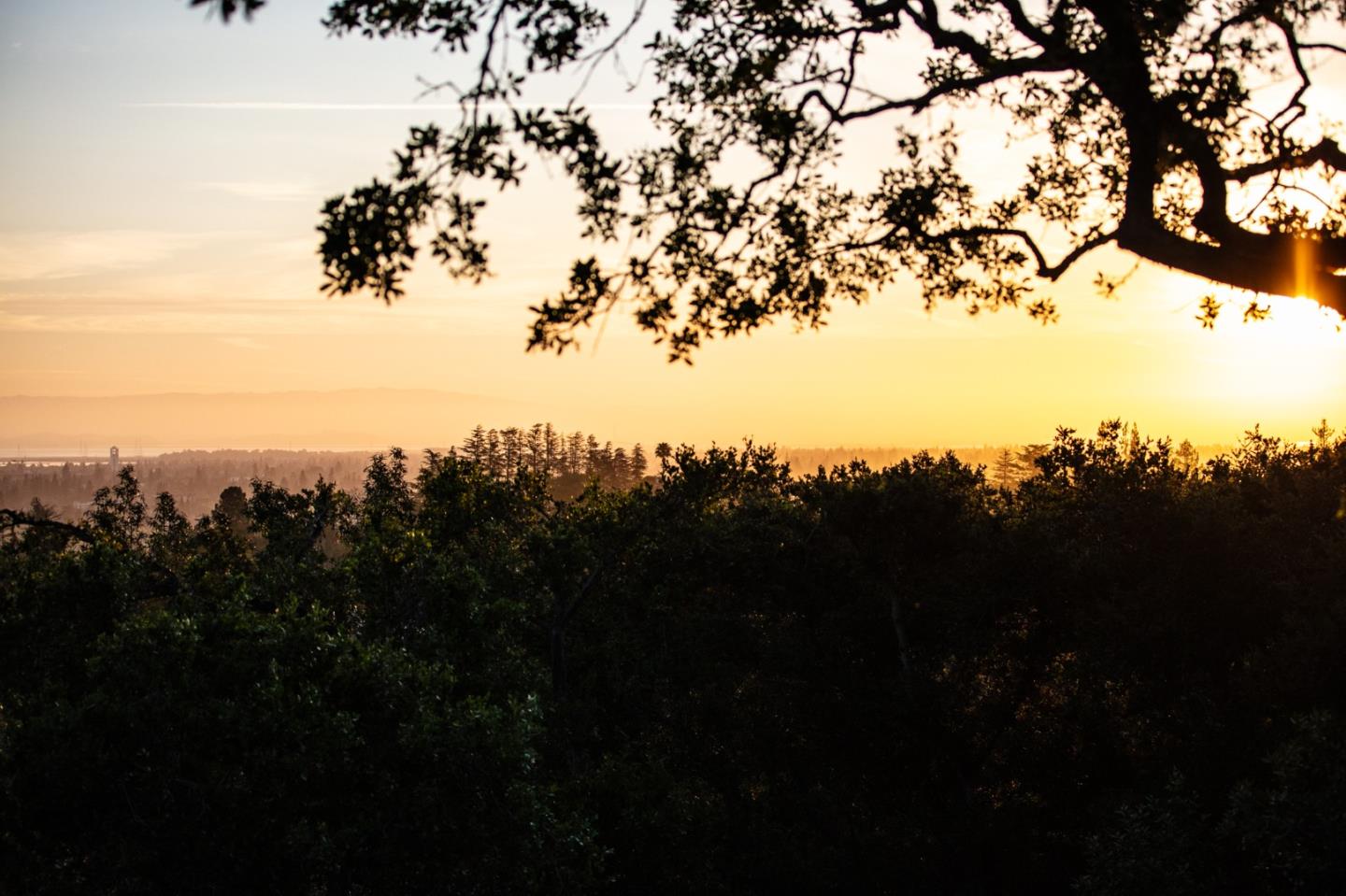 250 Hardwick Road Woodside, CA 94062 - Photo 60 of 65 a view of a city