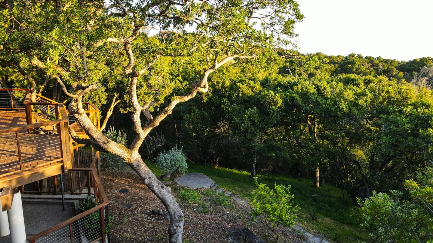 250 Hardwick Road Woodside, CA 94062 - Photo 62 of 65 a view of a yard with plants and wooden fence