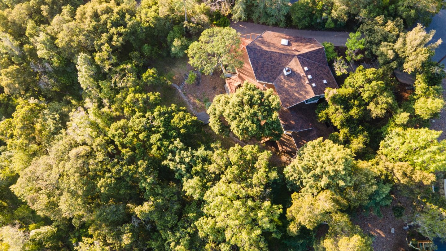 250 Hardwick Road Woodside, CA 94062 - Photo 63 of 65 a view of a tree with a flower