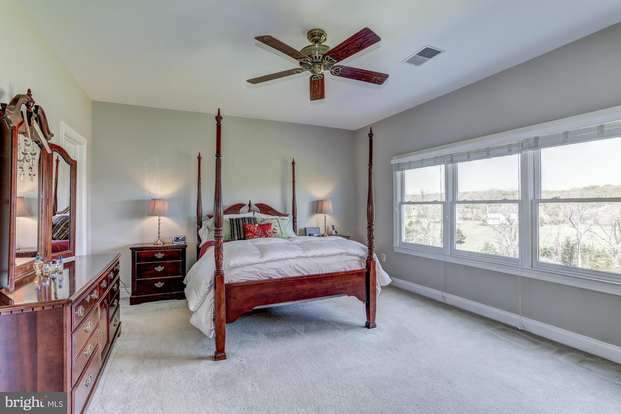 19288 Dunlop Mill Road Leesburg, VA 20175 - Photo 23 of 30 Bedroom (Master)