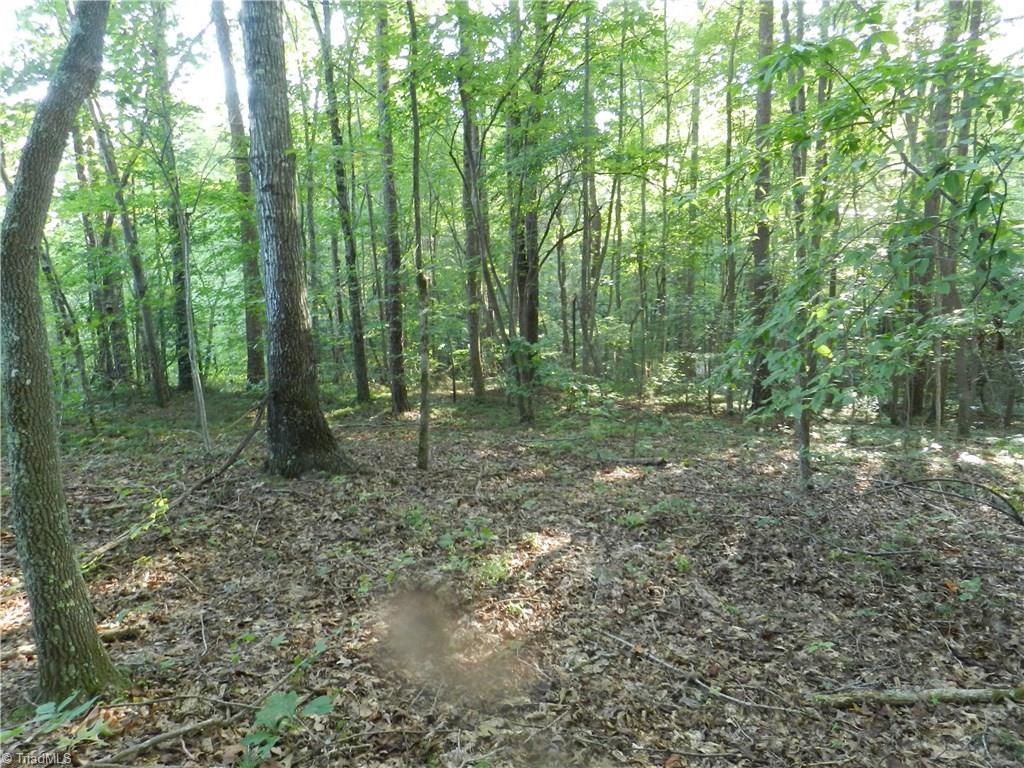 0 Old Cox Road Asheboro, NC 27205 - Photo 3 of 10 Gallery Image 3
