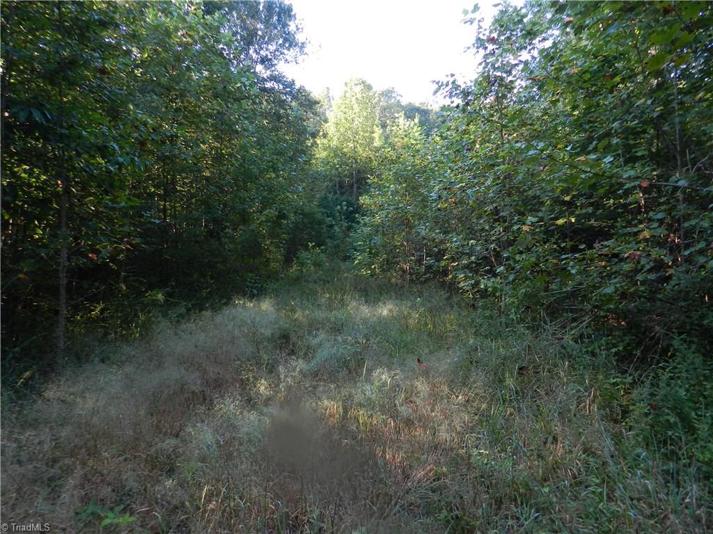 0 Old Cox Road Asheboro, NC 27205 - Photo 8 of 10 Gallery Image 8