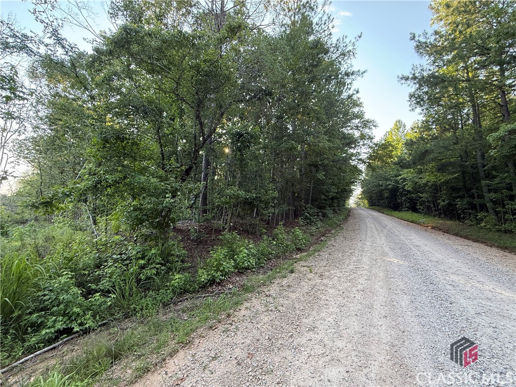 0 Cunningham Road Union Point, GA 30669 - Photo 2 of 6