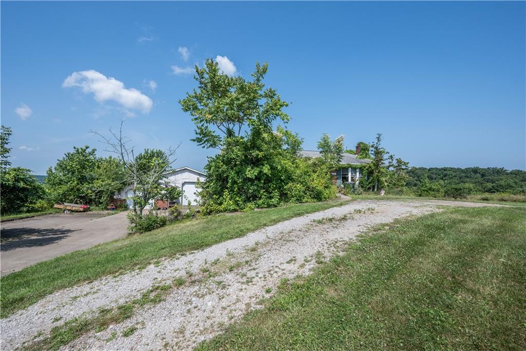 776 Mounts Road Washington, PA 15301 - Photo 3 of 40 a view of a yard with a tree