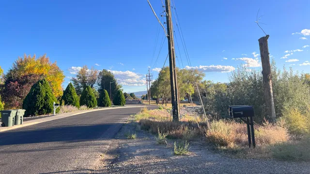 a view of a street with a tree