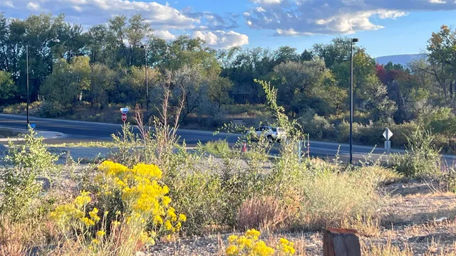 a view of a fountain in the backyard of a house