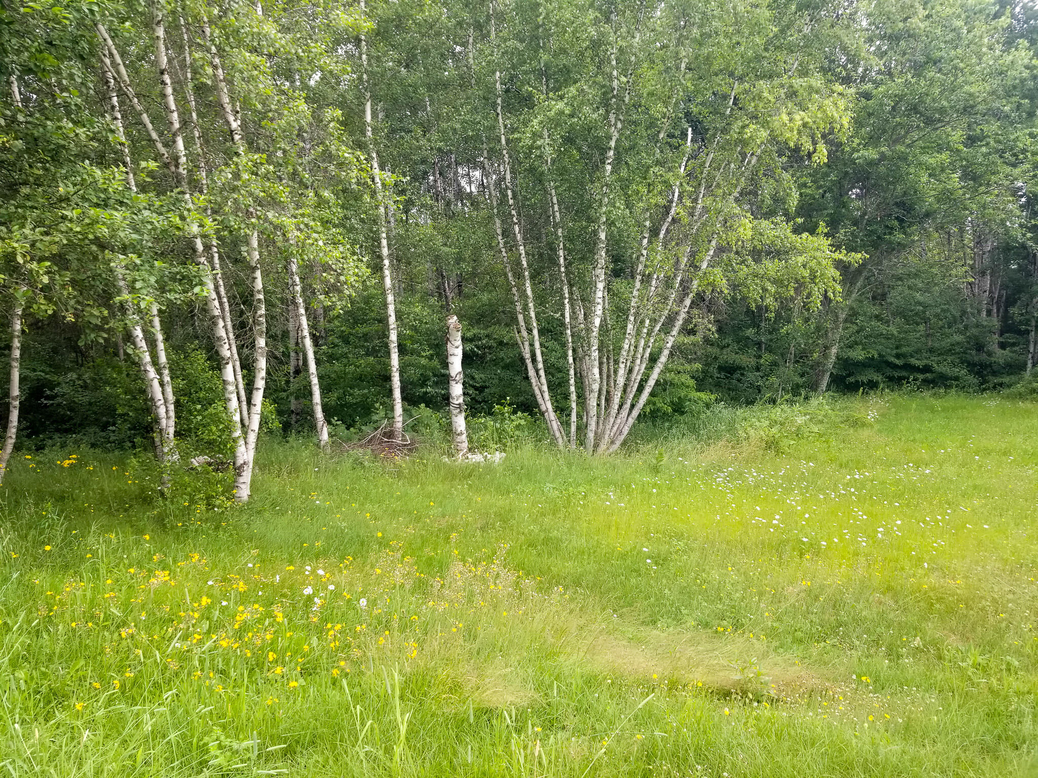 330 Pea Ridge Road Chester, ME 04457 - Photo 9 of 32 9