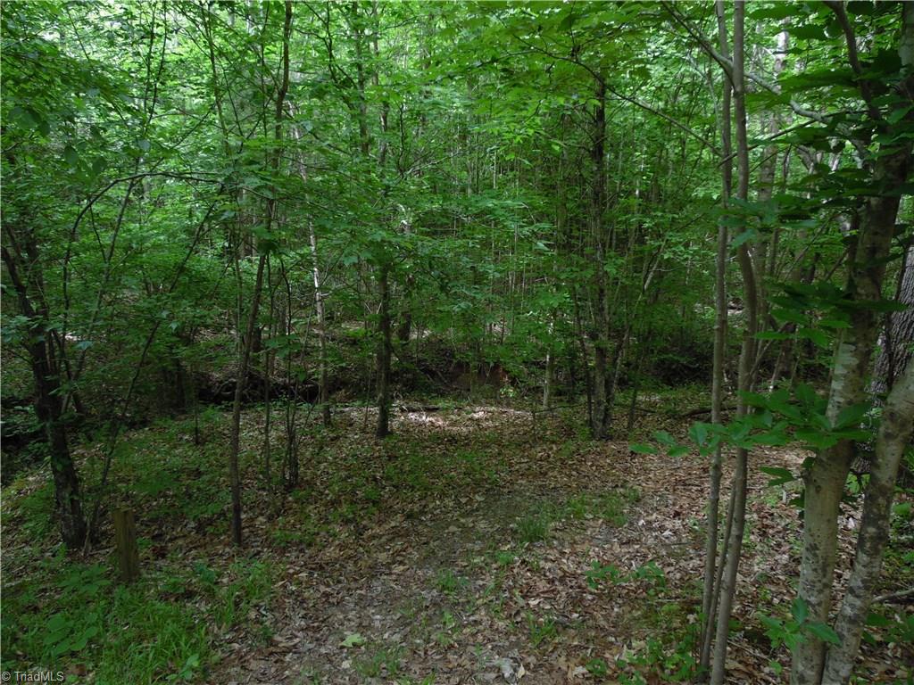 4099 Stephentown Road Blanch, NC 27212 - Photo 15 of 16 Gallery Image 15