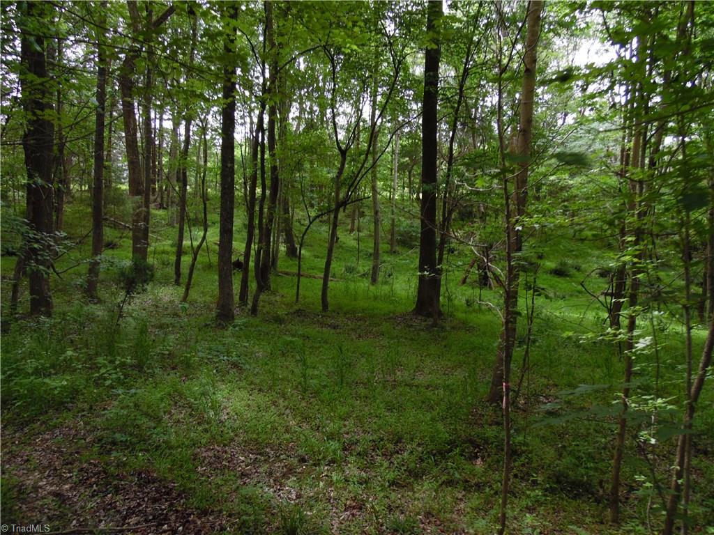 4099 Stephentown Road Blanch, NC 27212 - Photo 16 of 16 Gallery Image 16