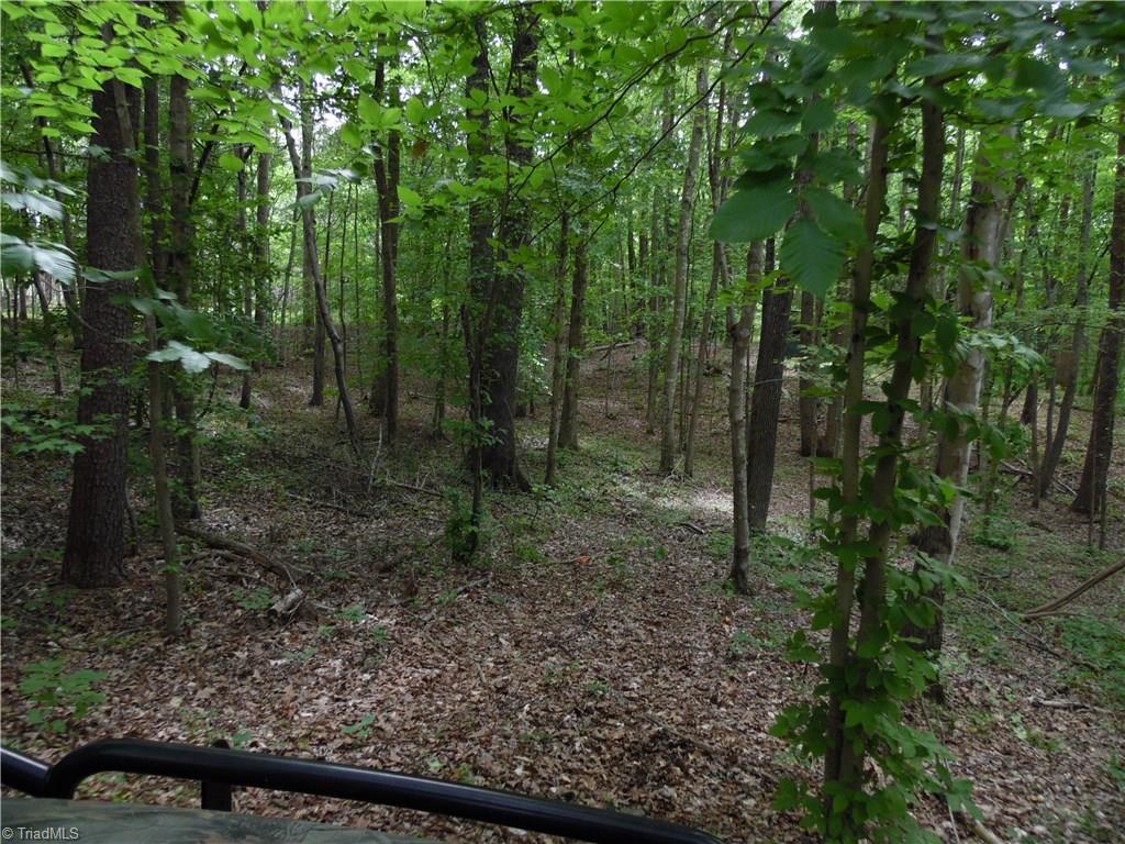 4099 Stephentown Road Blanch, NC 27212 - Photo 6 of 16 Gallery Image 6