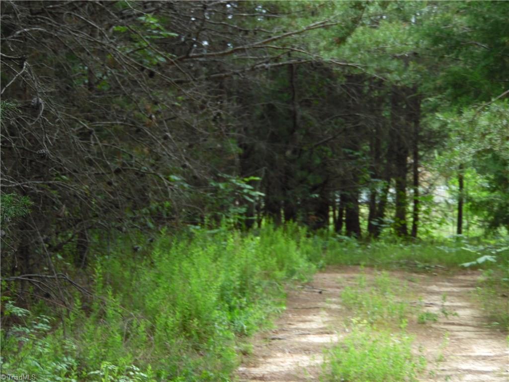 4099 Stephentown Road Blanch, NC 27212 - Photo 7 of 16 Gallery Image 7