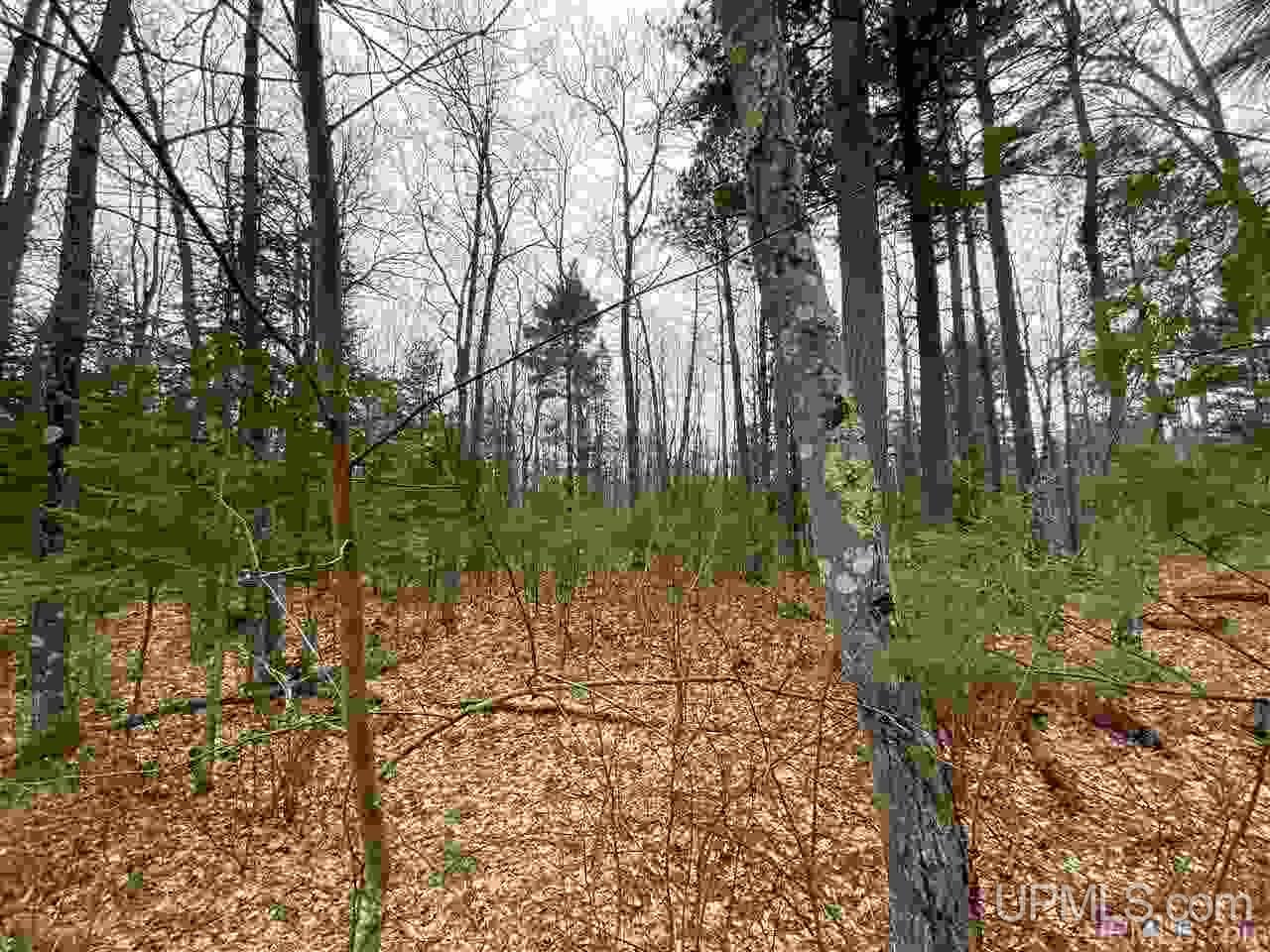 Tbd Plains Cutoff Road Baraga, MI 49908 - Photo 2 of 49