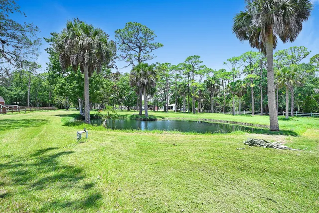 a view of a park with a tree