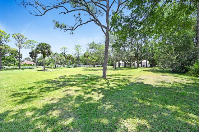 a view of a park with large trees