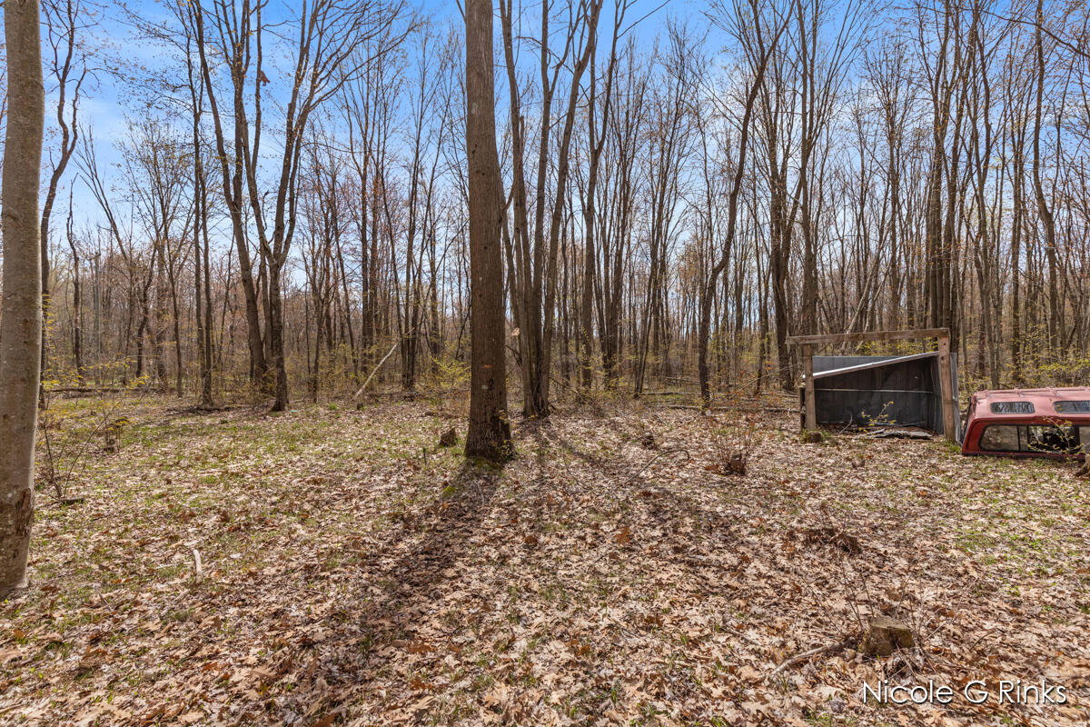 11166 East Bailey Road Ravenna, MI 49451 - Photo 35 of 35 IMG_1033