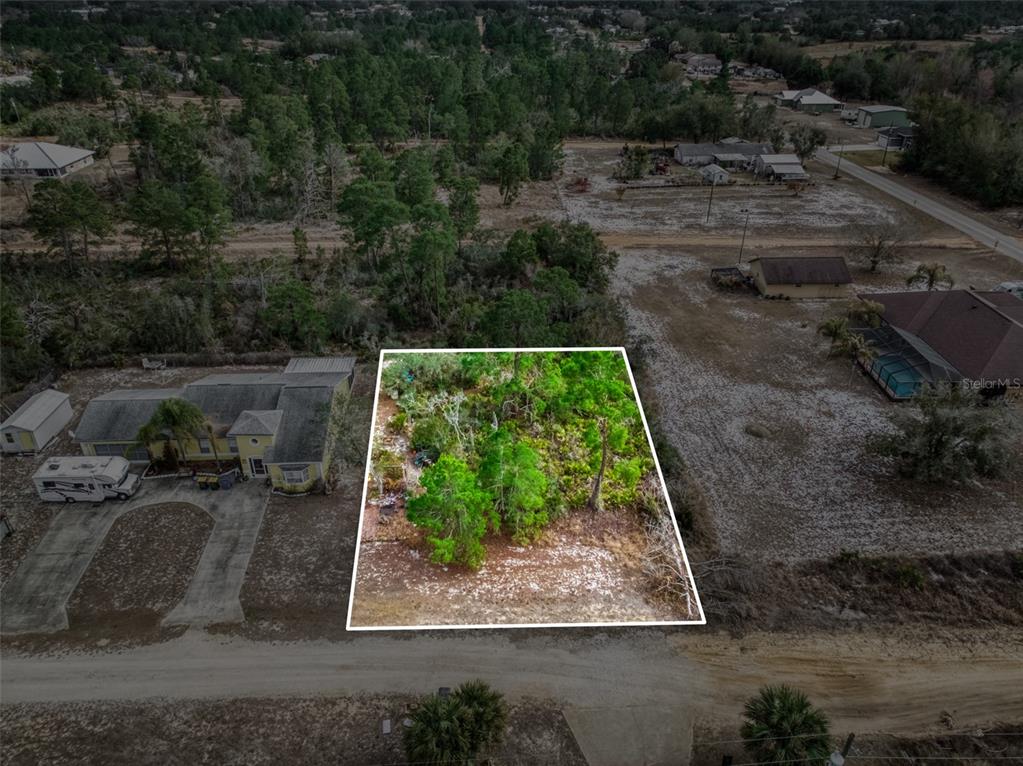 3085 West Scoralick Road Avon Park, FL 33825 - Photo 14 of 16 a view of a yard with potted plants