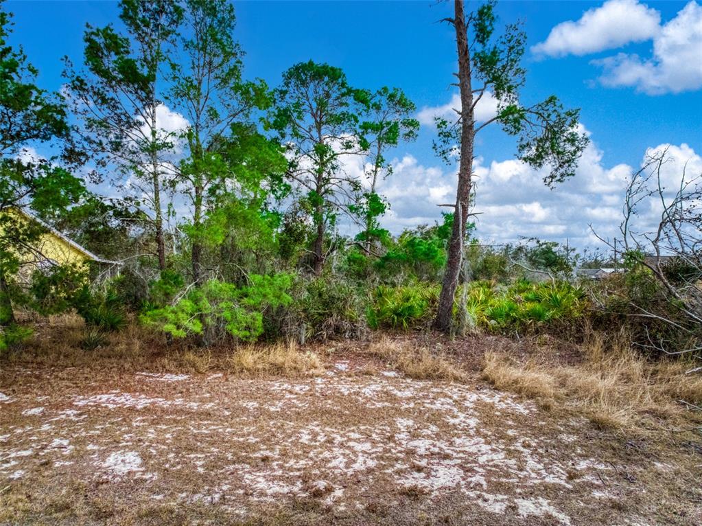 3085 West Scoralick Road Avon Park, FL 33825 - Photo 2 of 16 a view of a yard with plants and a bench