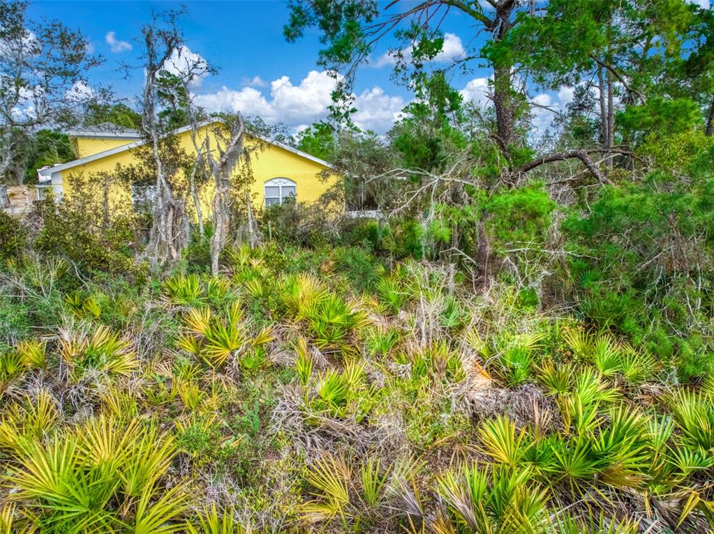 3085 West Scoralick Road Avon Park, FL 33825 - Photo 3 of 16