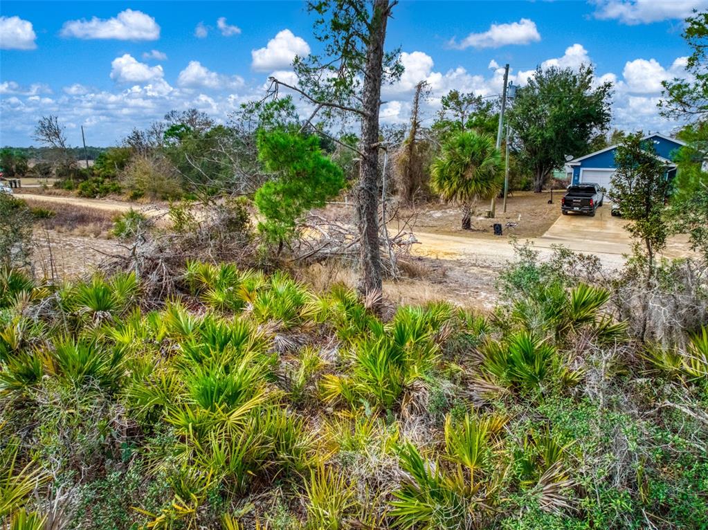 3085 West Scoralick Road Avon Park, FL 33825 - Photo 4 of 16 a view of a yard with plants and a fountain