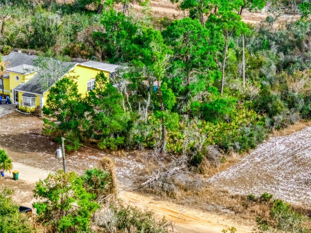 3085 West Scoralick Road Avon Park, FL 33825 - Photo 6 of 16 a view of swimming pool