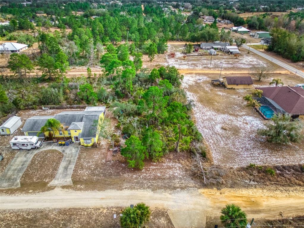 3085 West Scoralick Road Avon Park, FL 33825 - Photo 7 of 16 a view of a yard with plants