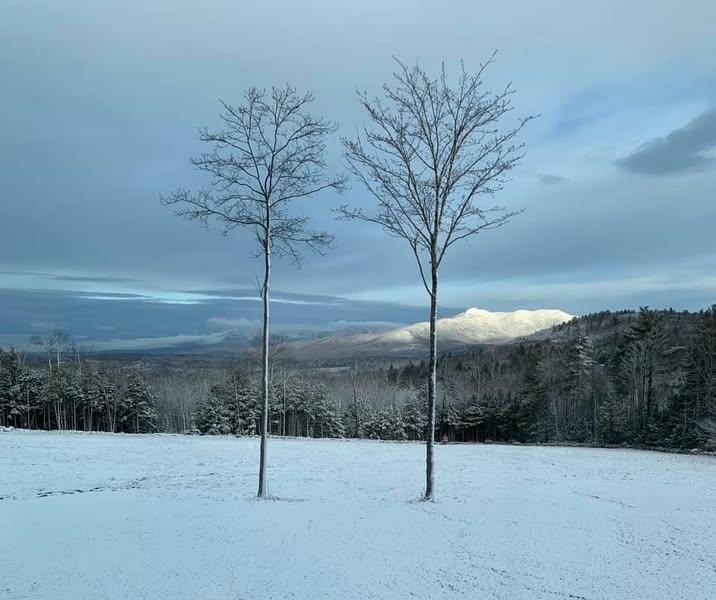 855 Pound Road Madison, NH 03849 - Photo 44 of 59