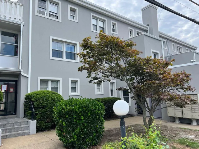 a potted plant sitting in front of a house