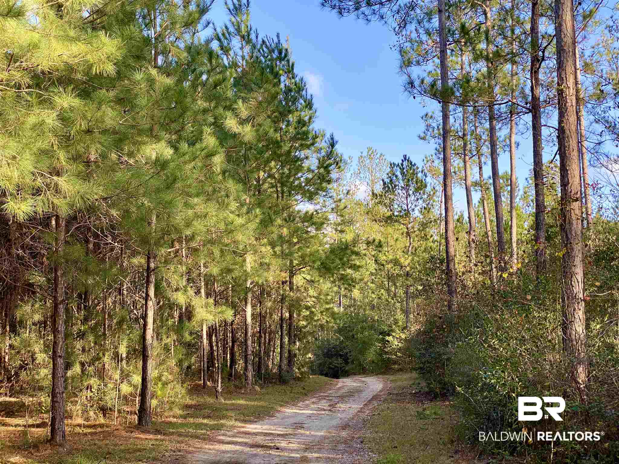 0 Whitetail Run Chatom, AL 36518 - Photo 2 of 29