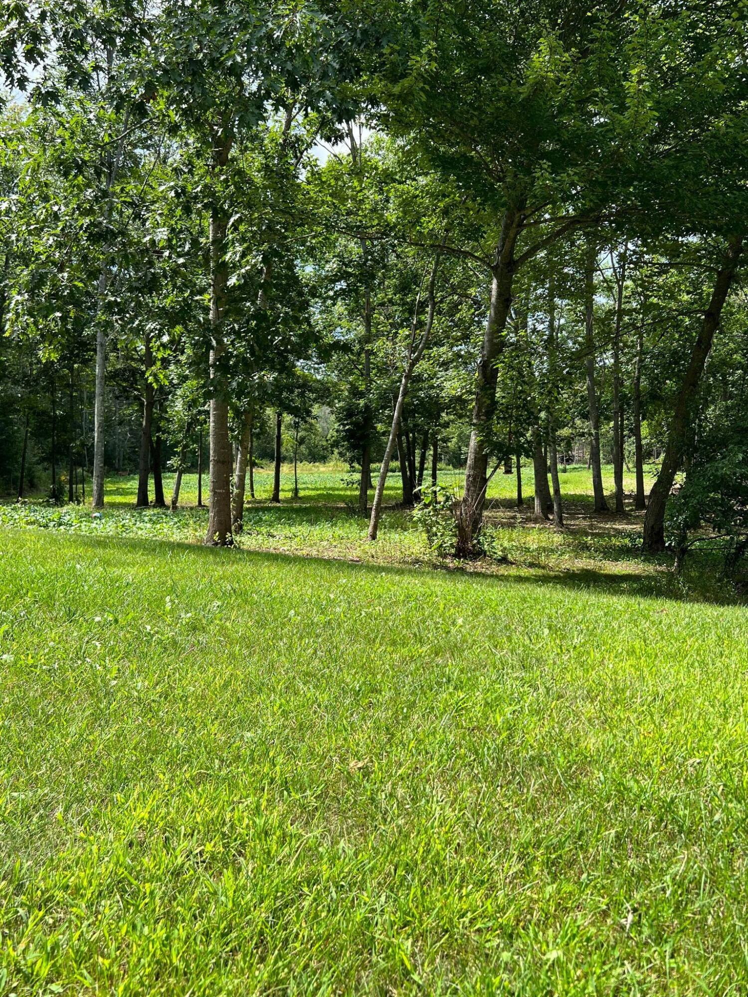 685 Ridge Road Plymouth, ME 04969 - Photo 14 of 36 299605317_1447153842453704_4453542407848