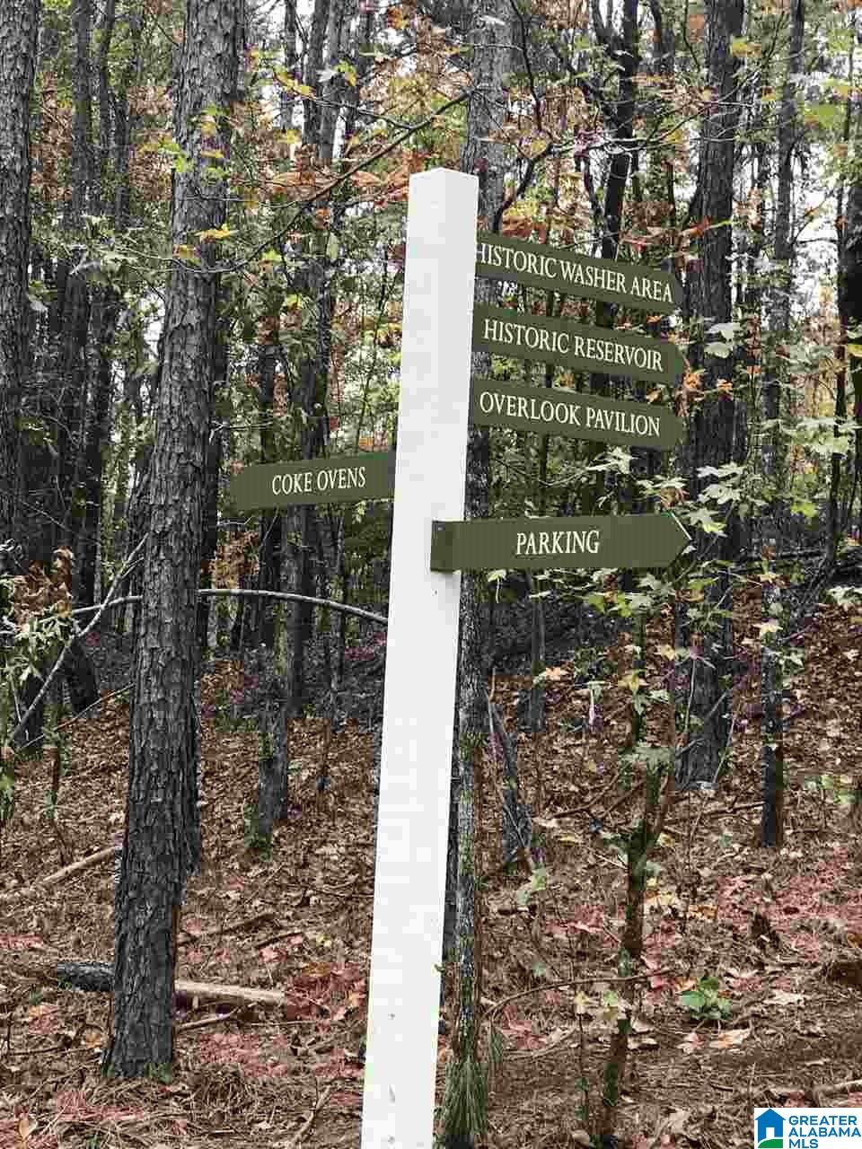 249 Henley Way Helena, AL 35080 - Photo 8 of 8