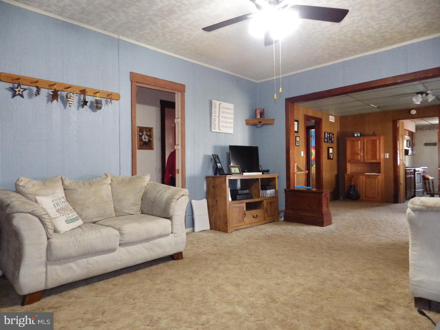 323 Gap Street Valley View, PA 17983 - Photo 9 of 20 Living Room