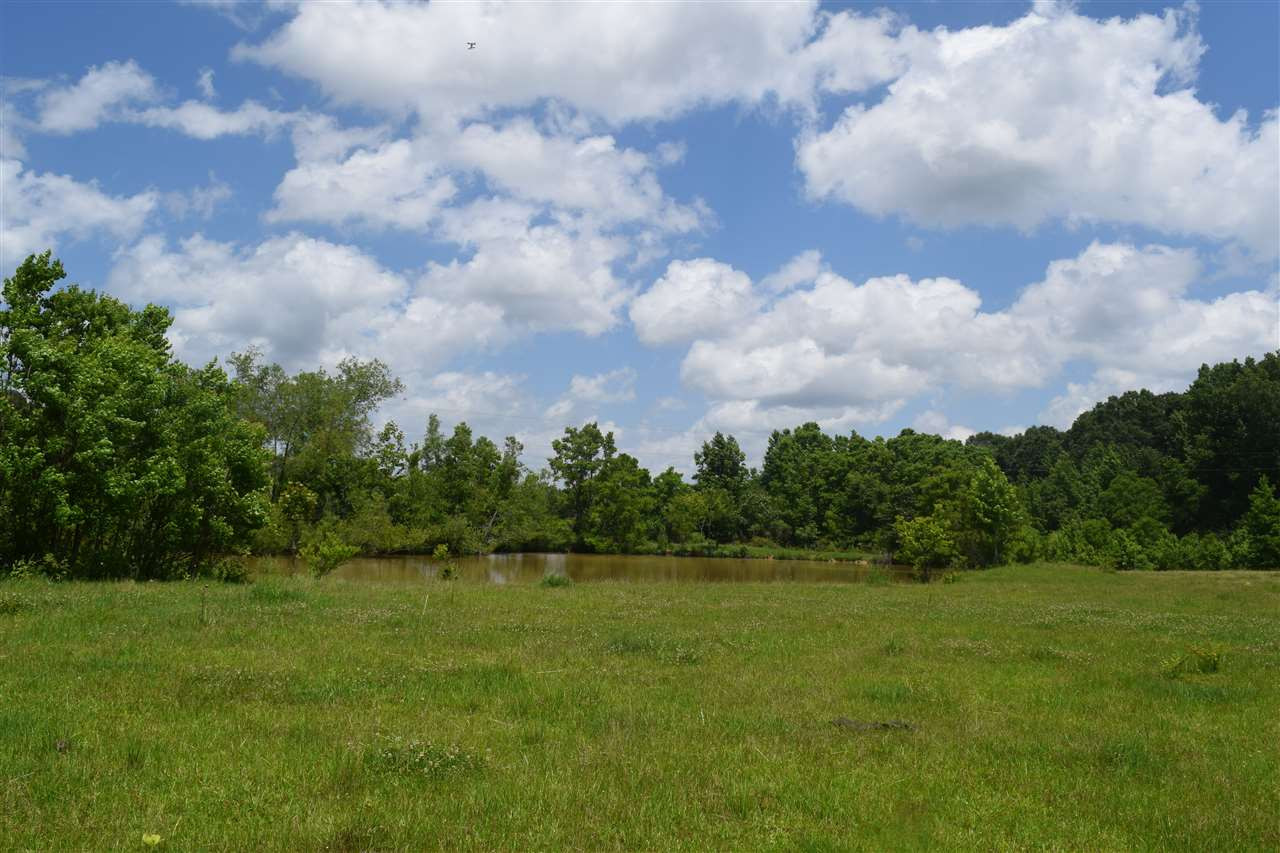 1201 Brister Road Terry, MS 39170 - Photo 8 of 9 Photo 9
