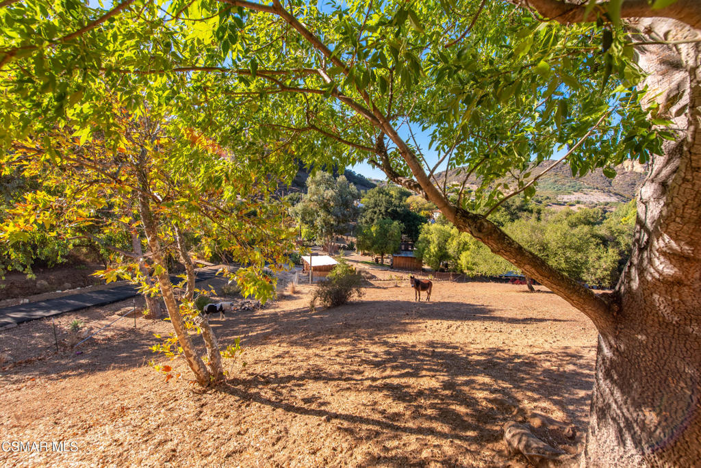 356 East Carlisle Road Thousand Oaks, CA 91361 - Photo 7 of 74