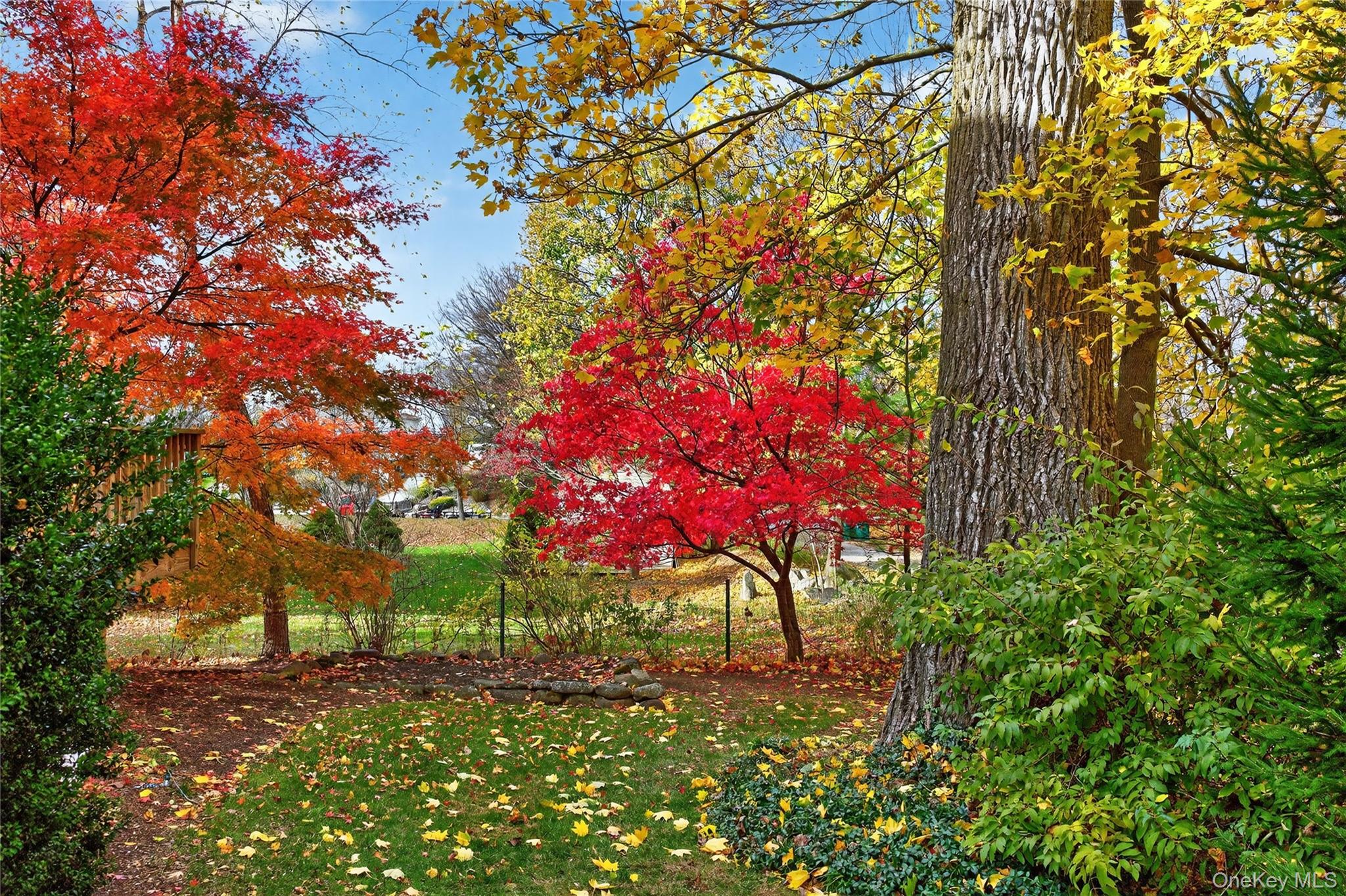 9 Exeter Circle Beacon, NY 12508 - Photo 37 of 41 a view of a yard with plants and trees