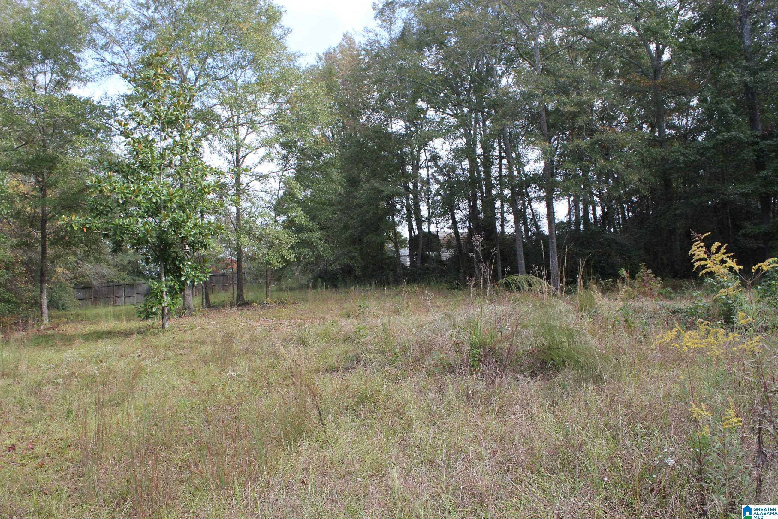 61 Wesson Street Jemison, AL 35085 - Photo 1 of 1