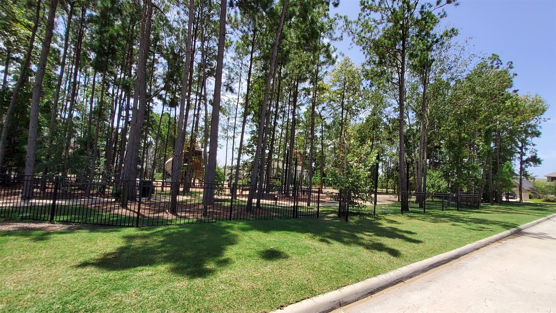 305 Rise Lane Montgomery, TX 77316 - Photo 13 of 39