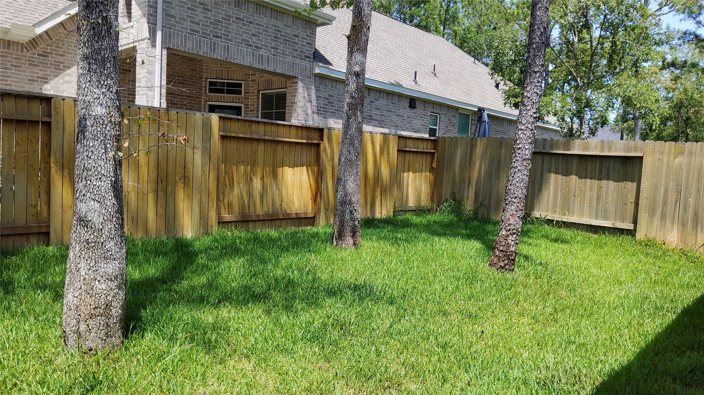 305 Rise Lane Montgomery, TX 77316 - Photo 39 of 39