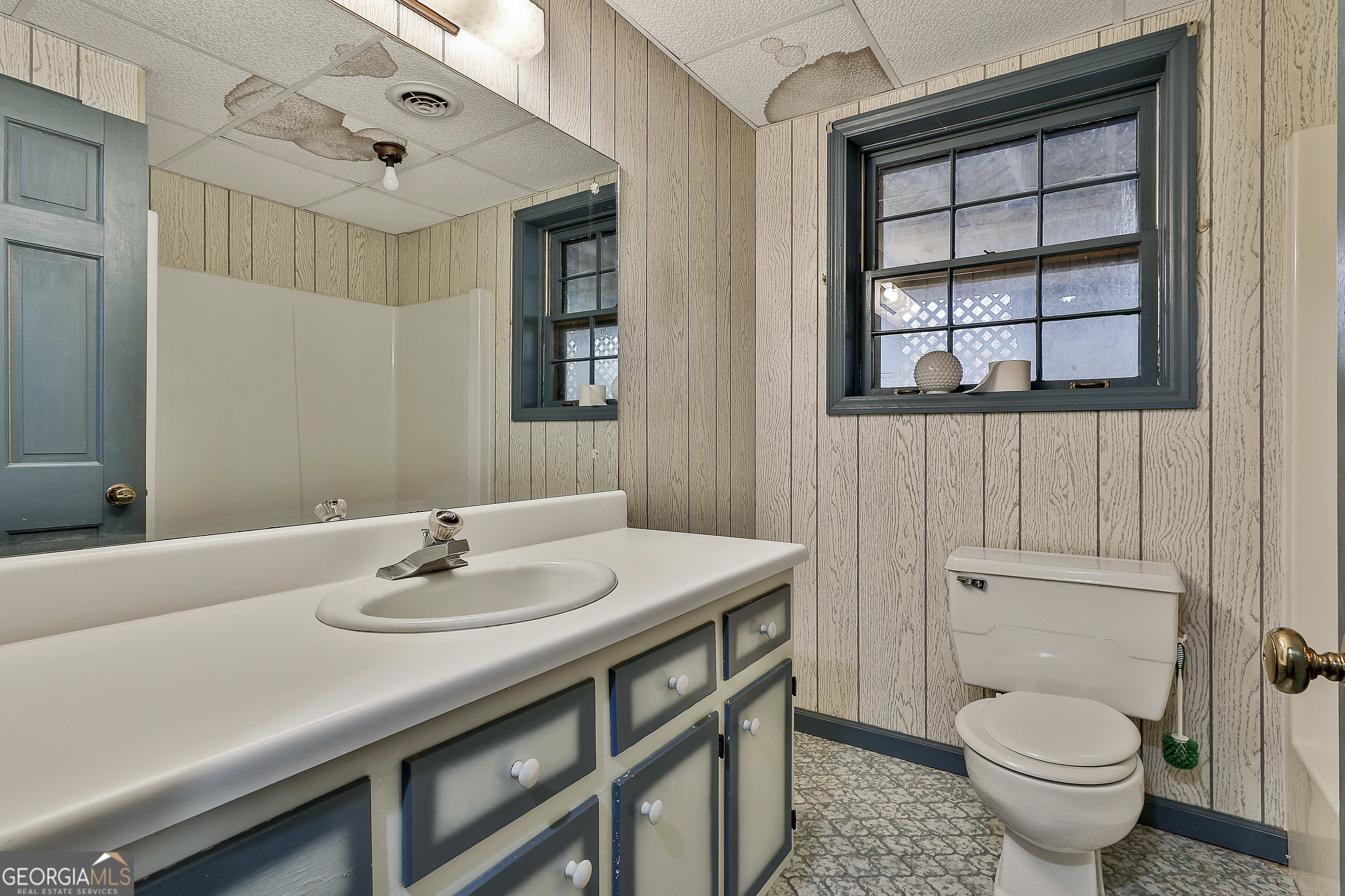161 Mockingbird Lane Brooks, GA 30205 - Photo 39 of 57 a bathroom with a sink a toilet and mirror