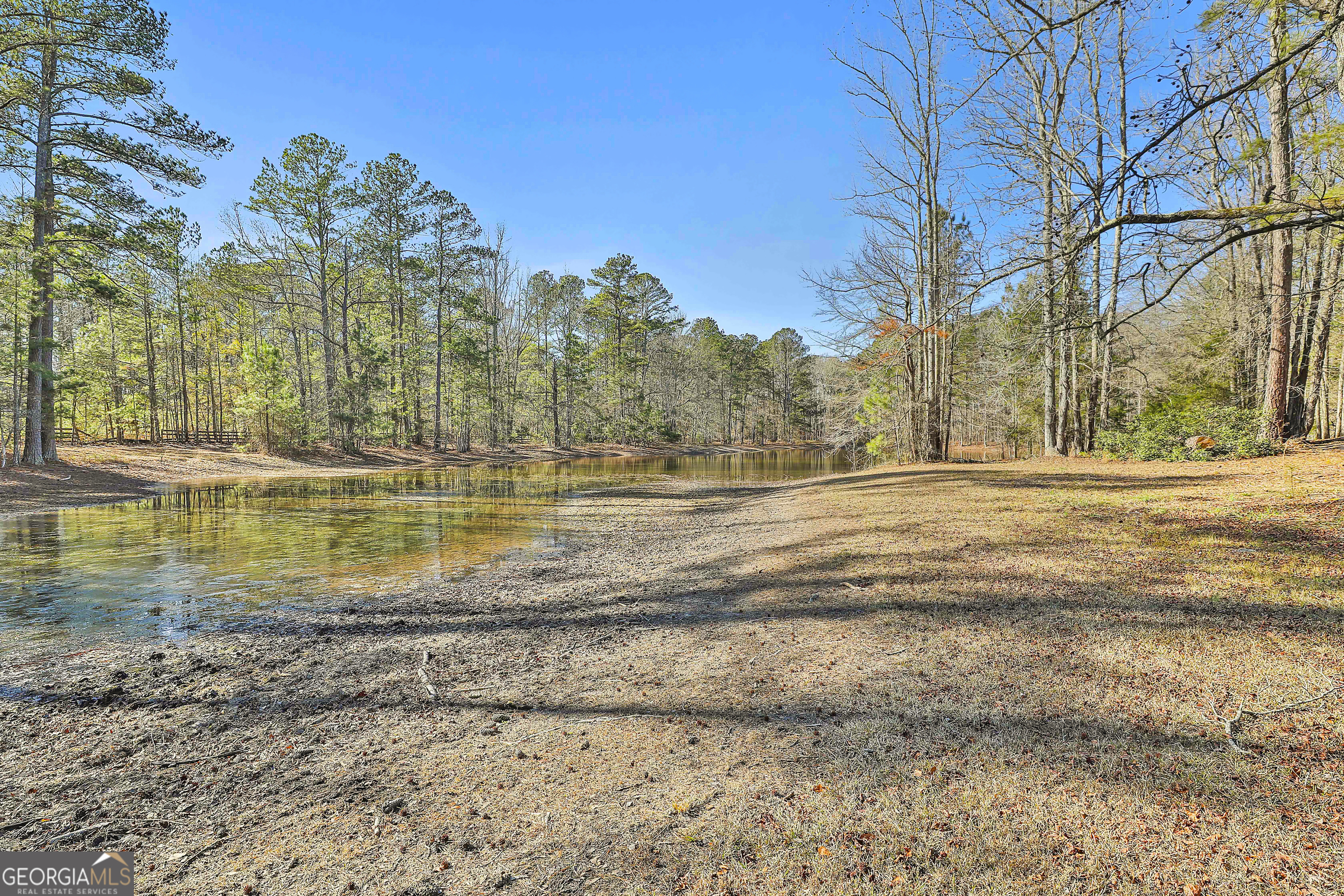 161 Mockingbird Lane Brooks, GA 30205 - Photo 42 of 57 a view of a yard with large trees