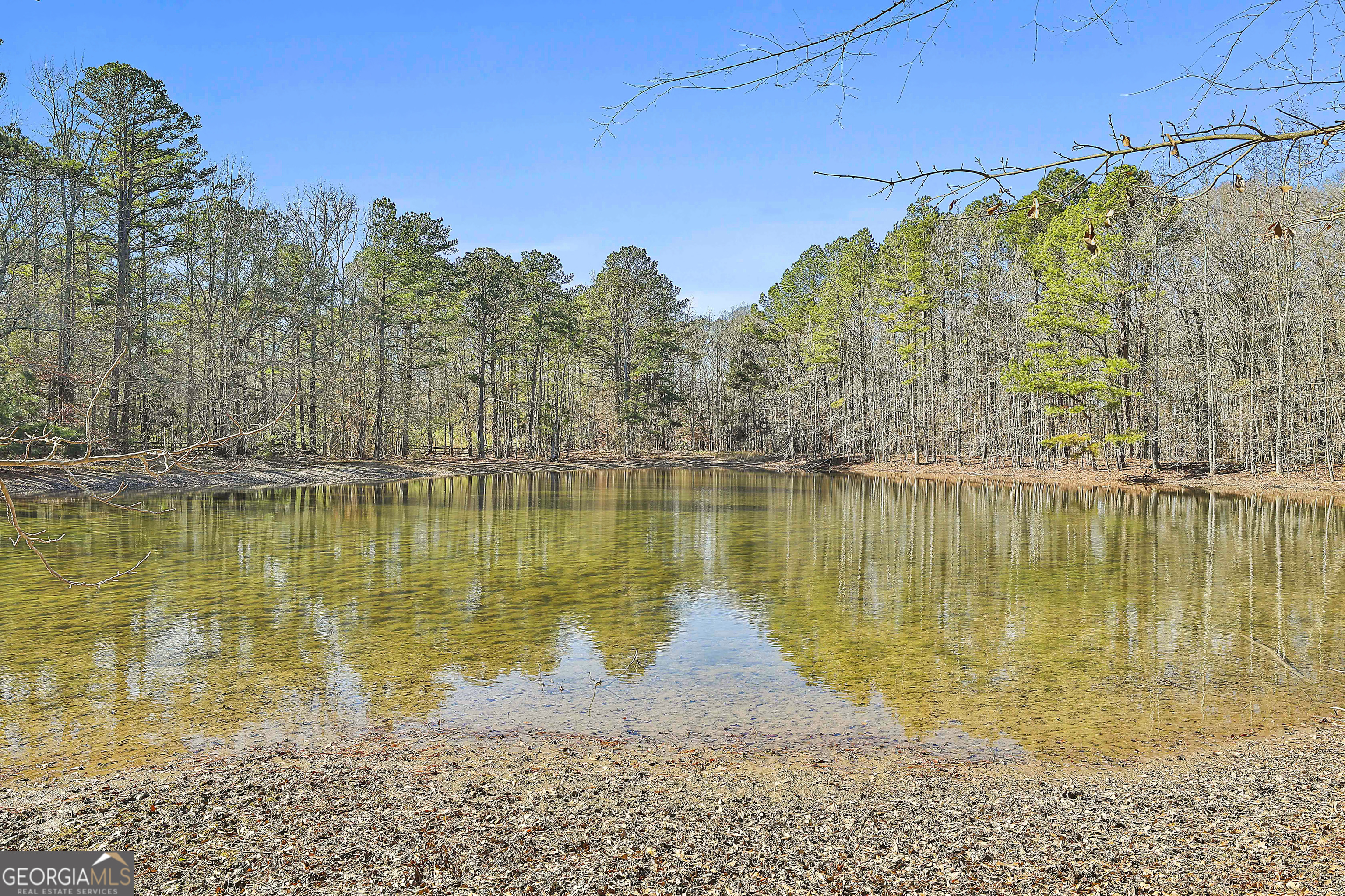 161 Mockingbird Lane Brooks, GA 30205 - Photo 45 of 57 a view of a lake view