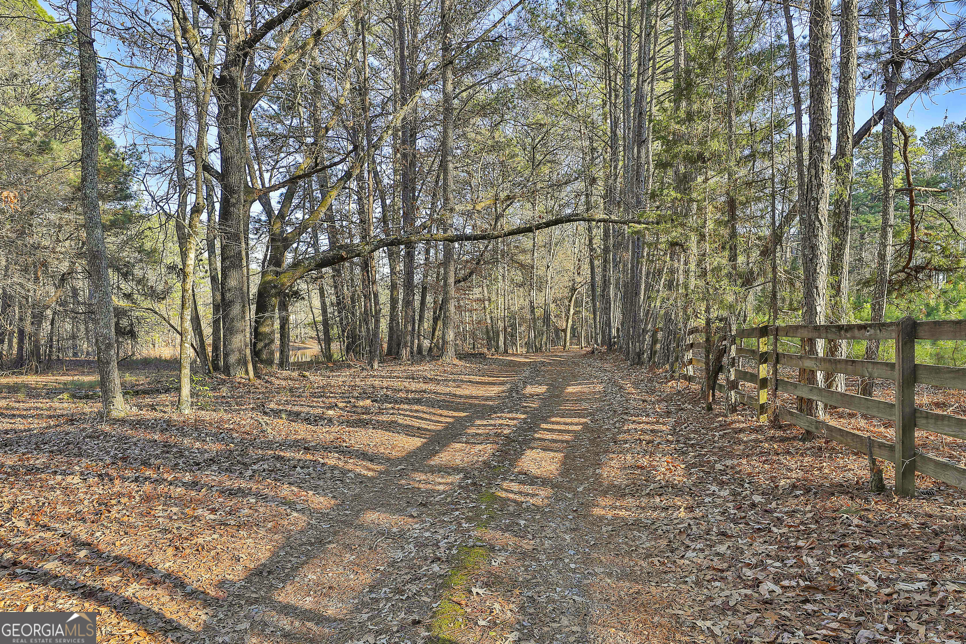 161 Mockingbird Lane Brooks, GA 30205 - Photo 5 of 57 a view of yard with trees