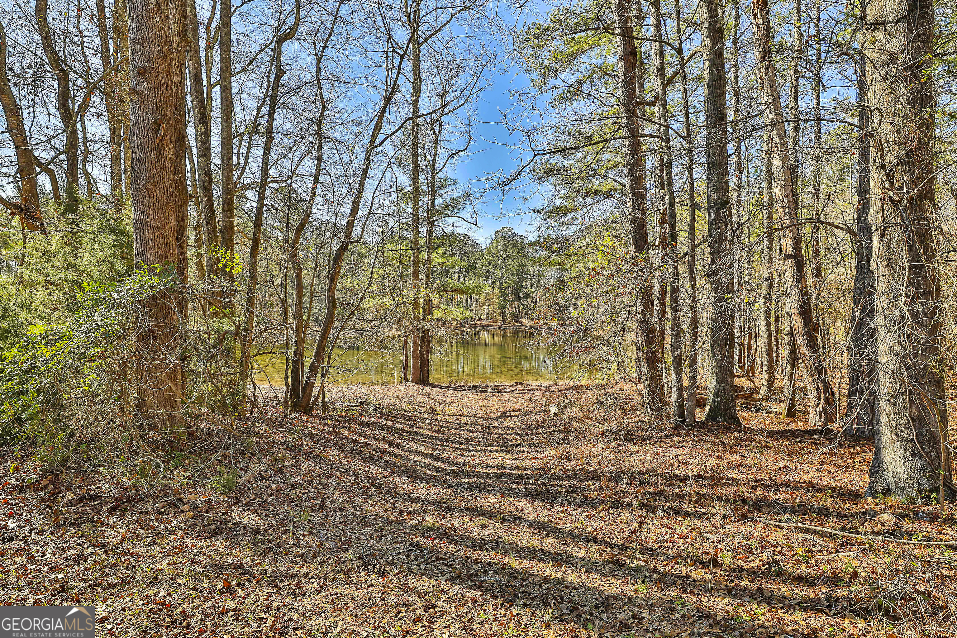 161 Mockingbird Lane Brooks, GA 30205 - Photo 54 of 57 a view of yard