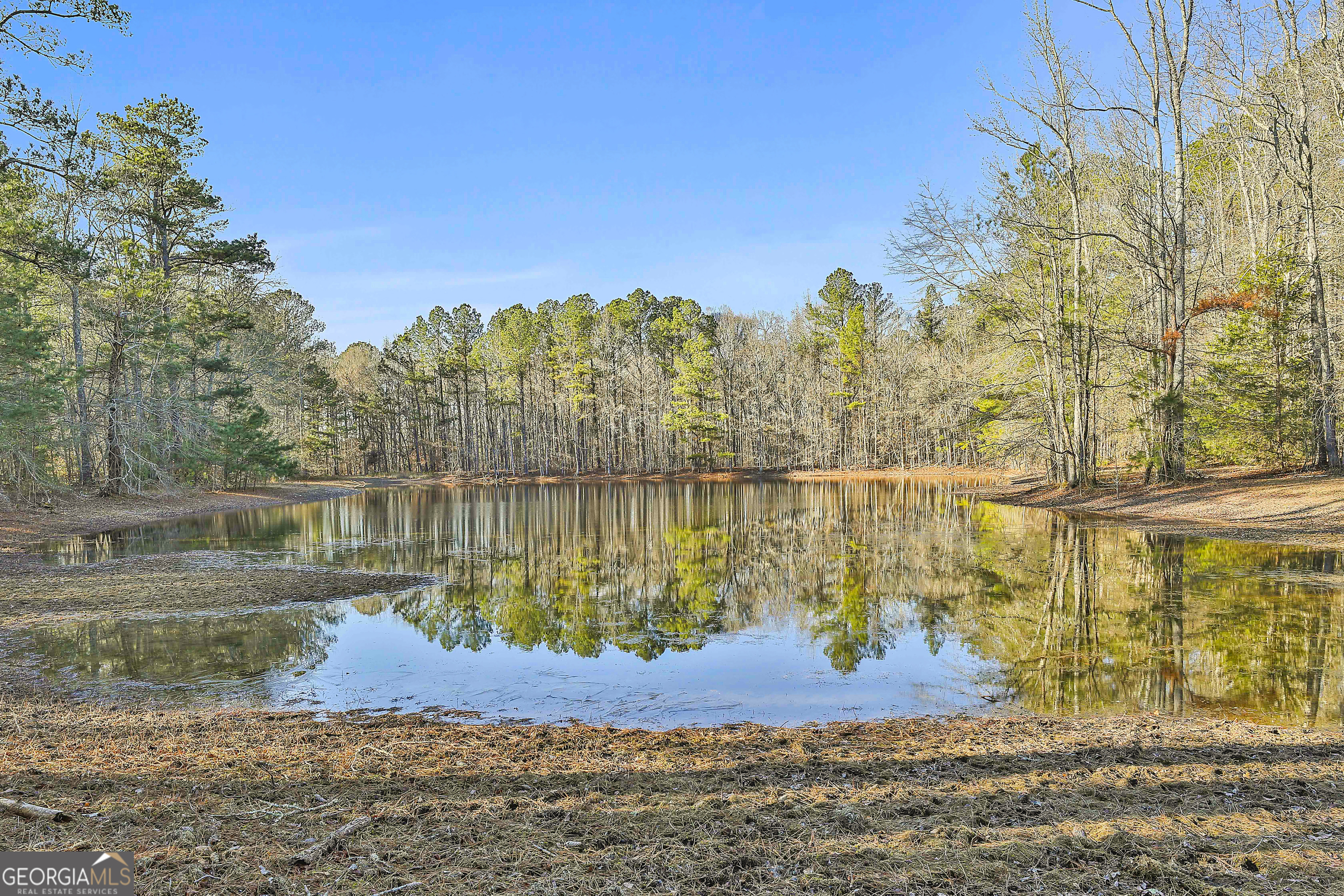 161 Mockingbird Lane Brooks, GA 30205 - Photo 6 of 57 a view of a lake with a trees