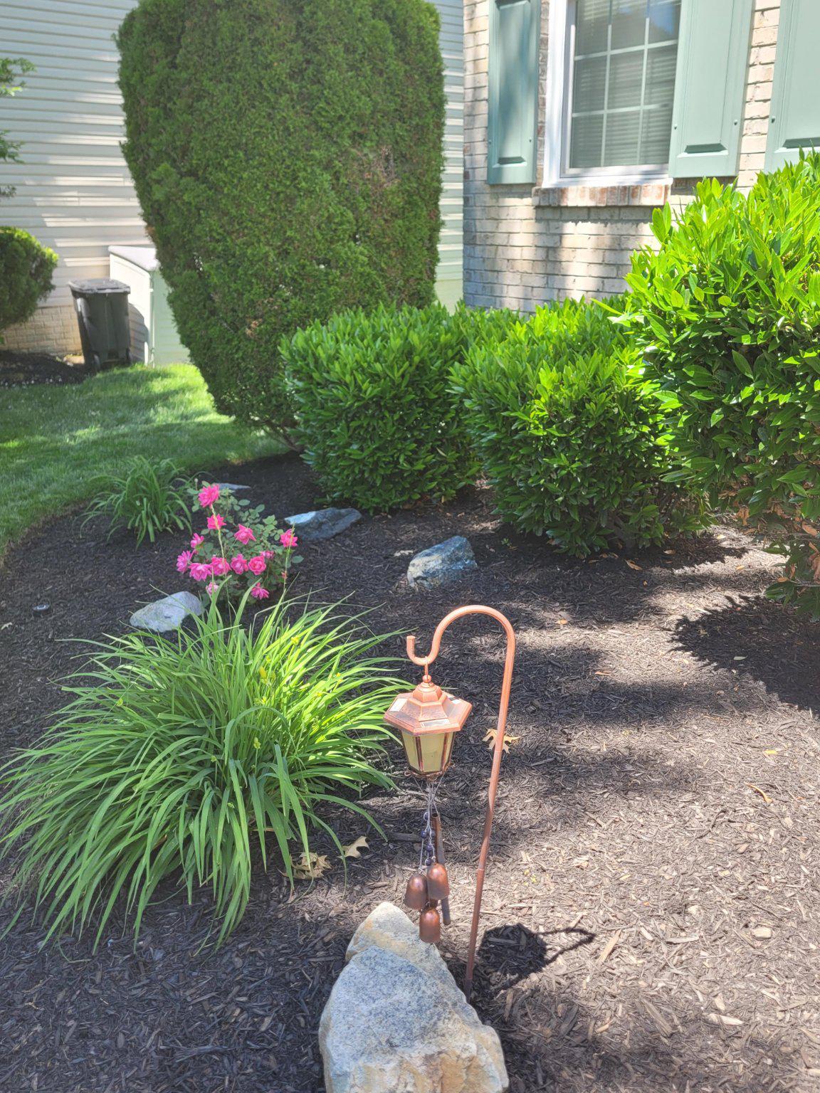 1202 Strausberg Street Accokeek, MD 20607 - Photo 11 of 43 Charming garden entrance with blooms.
