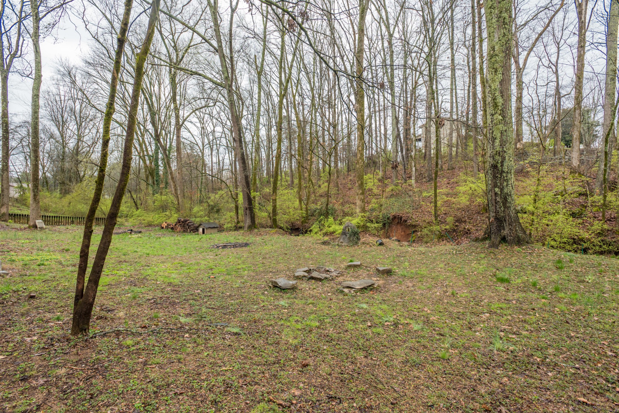 817 Sanders Road Northwest Knoxville, TN 37923 - Photo 6 of 40 Gallery Image 6