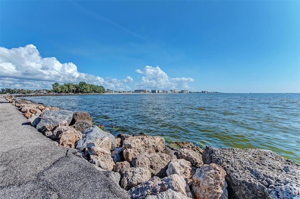 105 Dartmouth Road Venice, FL 34293 - Photo 72 of 100