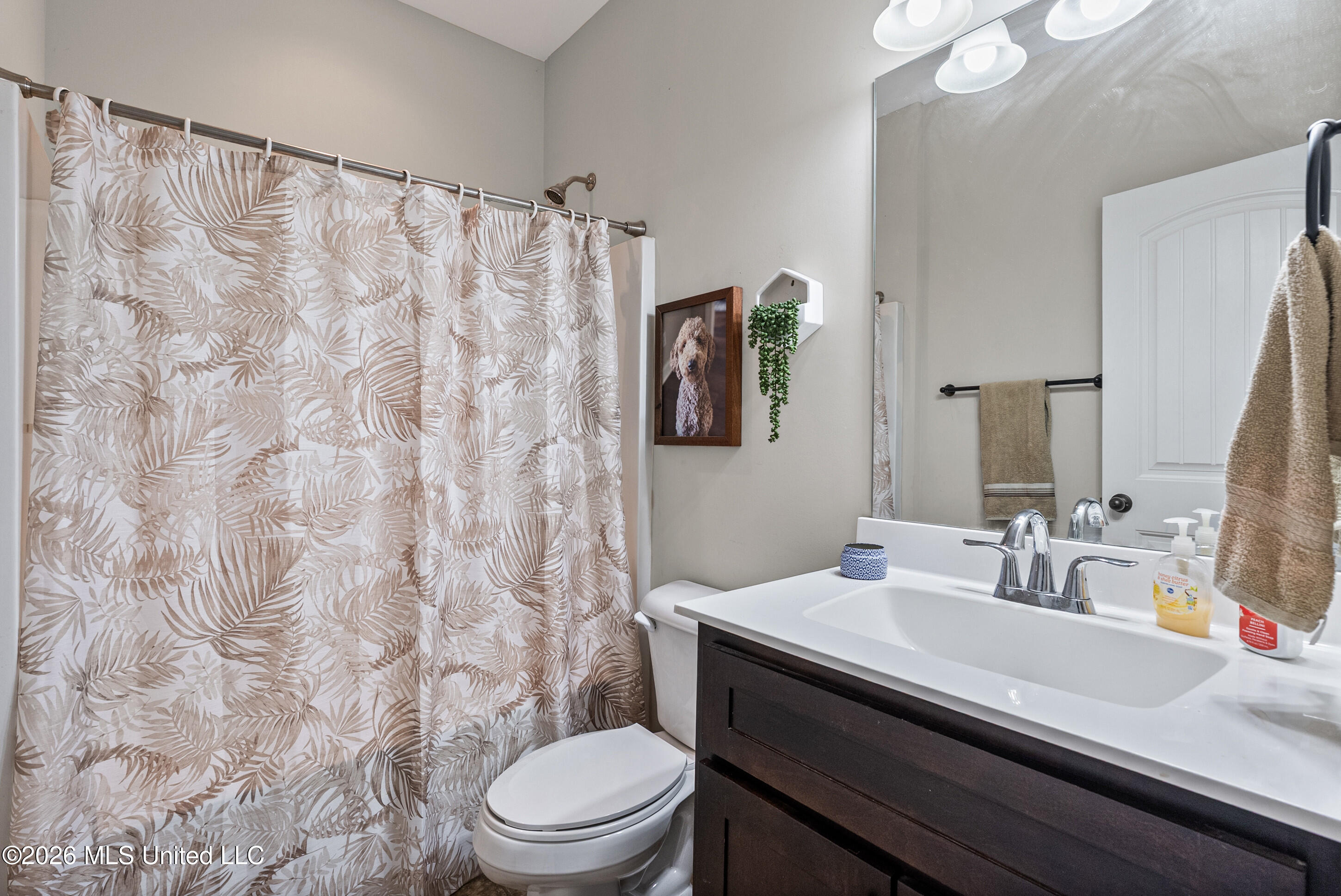 2353 Ouse Valley Lane Hernando, MS 38632 - Photo 13 of 30 Bathroom 1