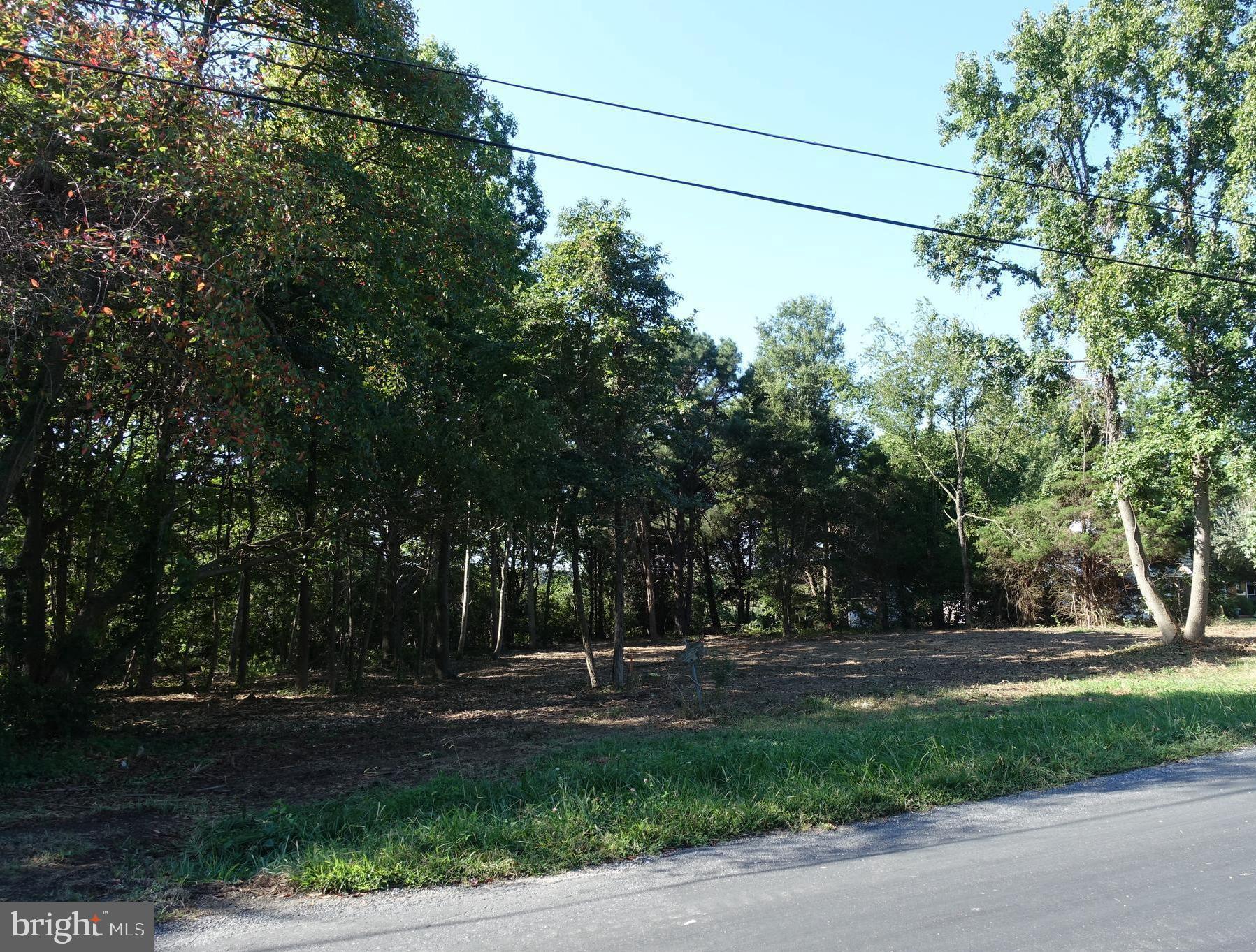 0 North Lake Road Stevensville, MD 21666 - Photo 8 of 8 Gallery Image 8