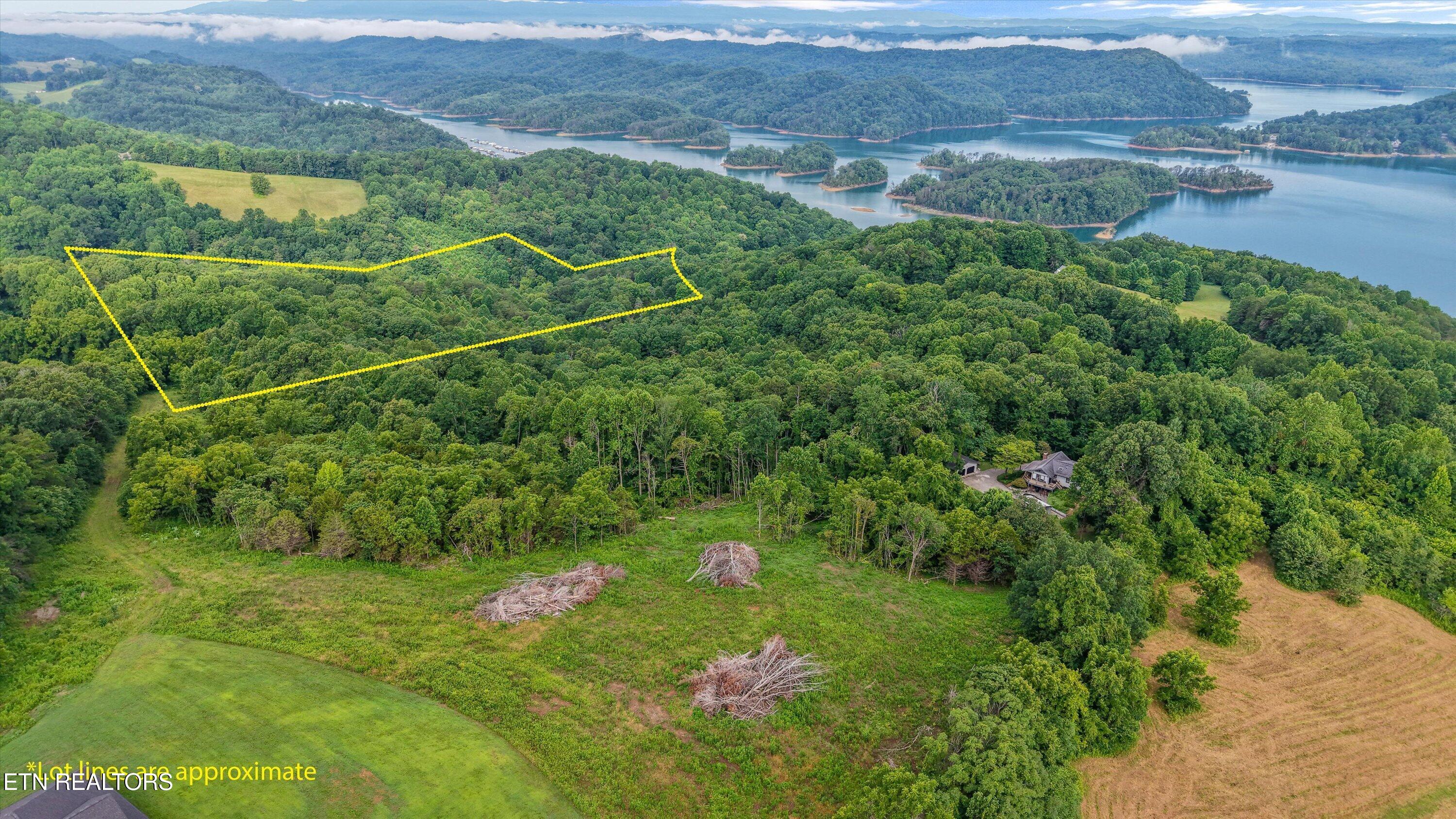 Lot 2 Graves Hollow Road Maynardville, TN 37807 - Photo 8 of 8 8-Graves Hollow Rd04 copy